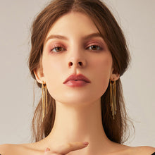 Load image into Gallery viewer, Love Fairy Tassel Hoop Earrings in 18K Gold Plated