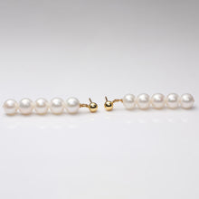 Load image into Gallery viewer, Shell Beads Drop Earrings with Freshwater Pearl
