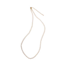 Load image into Gallery viewer, 3-3.5mm Freshwater Cultured Pearl Strand Necklace
