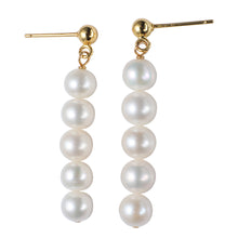 Load image into Gallery viewer, Shell Beads Drop Earrings with Freshwater Pearl

